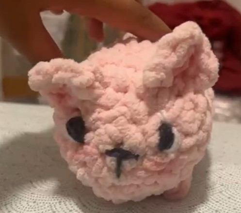 Crochet art competition project by Sanaya